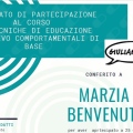 Ingrandire l'immagine: certificate 7