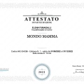 Ingrandire l'immagine: certificate 5
