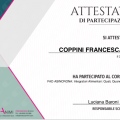 Ingrandire l'immagine: certificate 1