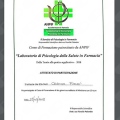 Ingrandire l'immagine: certificate 3