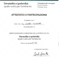 Ingrandire l'immagine: certificate 63