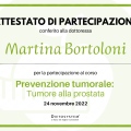 Ingrandire l'immagine: certificate 20