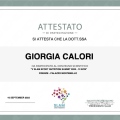 Ingrandire l'immagine: certificate 4