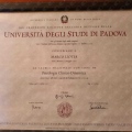 Ingrandire l'immagine: certificate 1