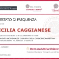 Ingrandire l'immagine: certificate 1