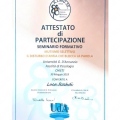 Ingrandire l'immagine: certificate 8