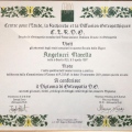 Ingrandire l'immagine: certificate 1
