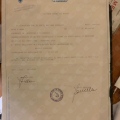 Ingrandire l'immagine: certificate 9