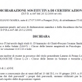 Ingrandire l'immagine: certificate 1