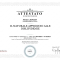 Ingrandire l'immagine: certificate 15