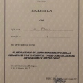 Ingrandire l'immagine: certificate 13
