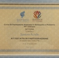 Ingrandire l'immagine: certificate 2