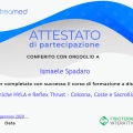 Ingrandire l'immagine: certificate 61