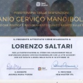 Ingrandire l'immagine: certificate 1