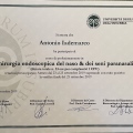 Ingrandire l'immagine: certificate 13