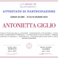 Ingrandire l'immagine: certificate 4