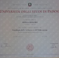 Ingrandire l'immagine: certificate 1