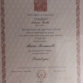 Ingrandire l'immagine: certificate 1