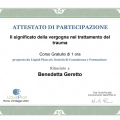 Ingrandire l'immagine: certificate 17