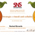 Ingrandire l'immagine: certificate 33