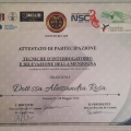 Ingrandire l'immagine: certificate 2