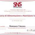 Ingrandire l'immagine: certificate 1