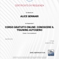 Ingrandire l'immagine: certificate 4
