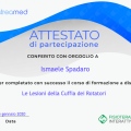 Ingrandire l'immagine: certificate 45