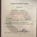 Ingrandire l'immagine: certificate 2