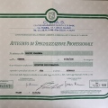 Ingrandire l'immagine: certificate 5