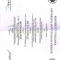 Ingrandire l'immagine: certificate 2