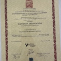 Ingrandire l'immagine: certificate 1
