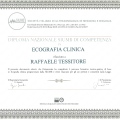 Ingrandire l'immagine: certificate 9