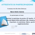 Ingrandire l'immagine: certificate 13