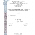 Ingrandire l'immagine: certificate 1