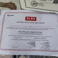 Ingrandire l'immagine: certificate 4