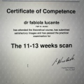 Ingrandire l'immagine: certificate 2