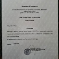 Ingrandire l'immagine: certificate 13