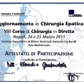 Ingrandire l'immagine: certificate 11