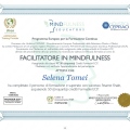 Ingrandire l'immagine: certificate 7