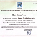 Ingrandire l'immagine: certificate 11