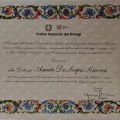 Ingrandire l'immagine: certificate 3