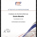 Ingrandire l'immagine: certificate 8