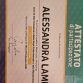 Ingrandire l'immagine: certificate 4