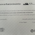 Ingrandire l'immagine: certificate 13