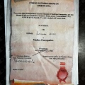 Ingrandire l'immagine: certificate 6