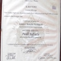 Ingrandire l'immagine: certificate 11