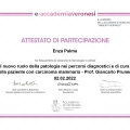 Ingrandire l'immagine: certificate 6