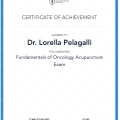 Ingrandire l'immagine: certificate 4
