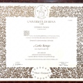 Ingrandire l'immagine: certificate 9